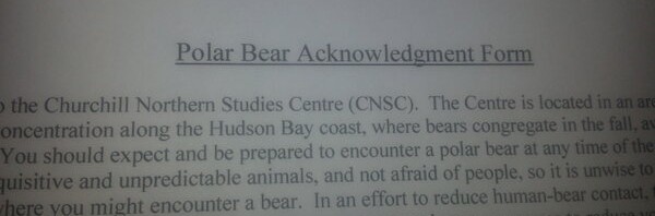 My co-worker had to sign a “polar bear release for…
