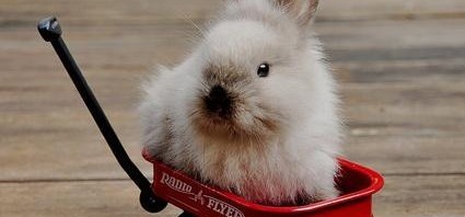 “@CuteEmergency: tonight, we ride! http://t.co/PHe…