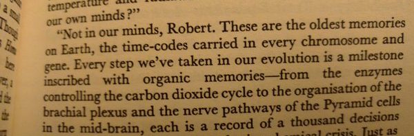 Some top-notch neuropsychological technobabble fro…