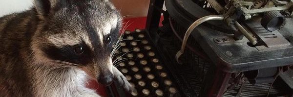 RT @anarcharaccoon: The concept of a specialist in…
