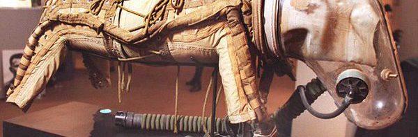 RT @peatyg: 1950s spacesuit designed for dogs http…