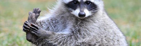 RT @anarcharaccoon: “Caring for myself is not self…