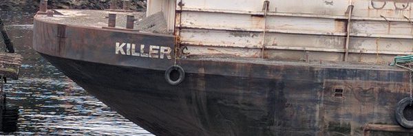 “Killer”, Jack Block Park. West Seattle. https://t…
