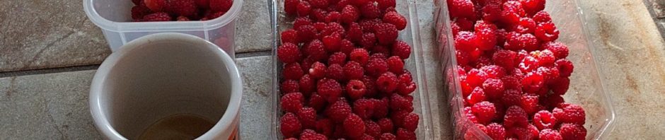 Half an hour’s raspberry harvest in my back yard (…
