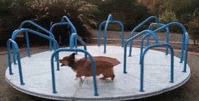 RT @youngvulgarian: Hi, this is a good gif, please…