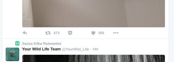 So, there’s a weird conjunction https://t.co/srWax…