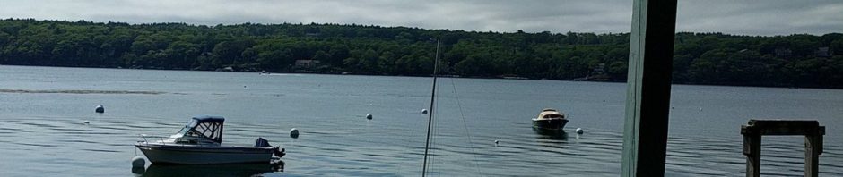 @dataandme @quominus @tanyacash21 current activity…